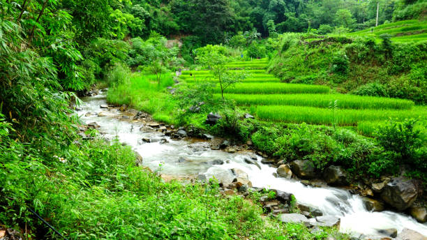 istock Bao Lac, Village San Chi, Vietnam 1432786308