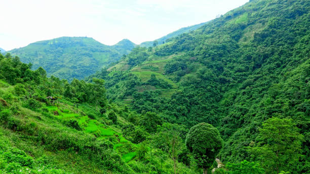 istock Bao Lac, Village San Chi, Vietnam 1432786410