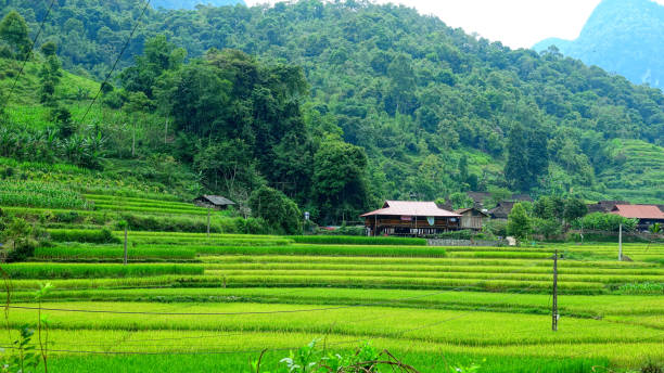 istock Road Bao Lac to Cao Bang , Vietnam 1432786507