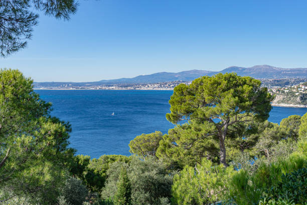 istock View from Saint Jean cap Ferrat. French riviera 1432788711
