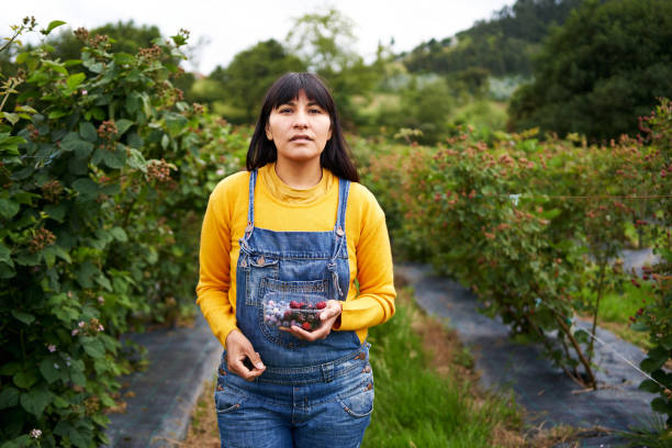 istock A woman standing in her orchard holding some berries in a plastic container that she has just picked 1432789048
