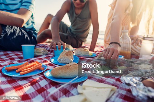 istock Family having summer picnic breakfast on the beach 1432789675