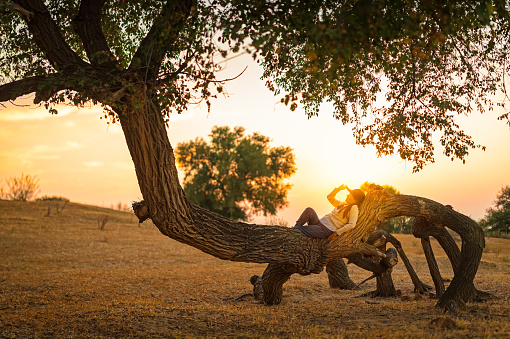 The woman lies on the tree trunk in the setting sun
