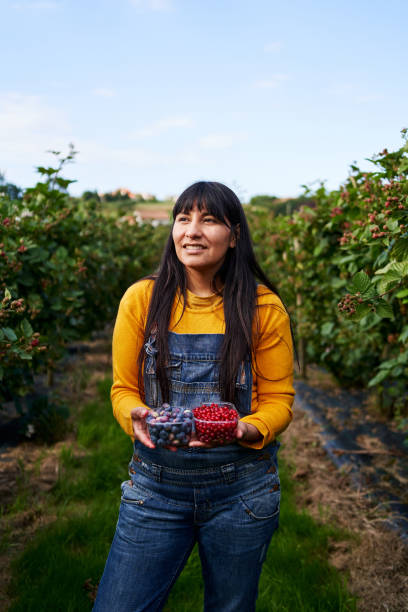 istock A woman holding blueberries and cherries in plastic containers she has just picked from her plantation 1432790532