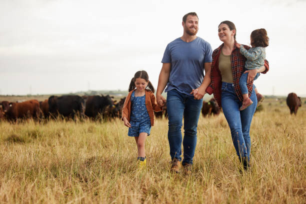 農家の家族、牛の農場、環境や田舎の持続可能性農業分野での母親、父親、子供の絆。肉、牛肉、食品産業のために牛のそばを歩く幸せな人々と子供たち - four animals ストックフォトと画像