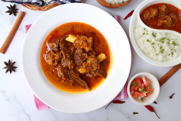 shahi mutton curry, mutton masala, mutton korma é um famoso prato não vegetariano picante da índia. é feito de carne de cabra junto com especiarias. servido com arroz e roti. copiar espaço. - nonvegetarian - fotografias e filmes do acervo