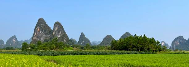 istock Uncontaminated farm produce area-rice paddy in karst landform 1432796363