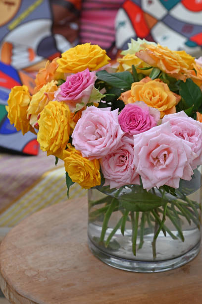 Roses in a variety of mixed colours. High quality photo