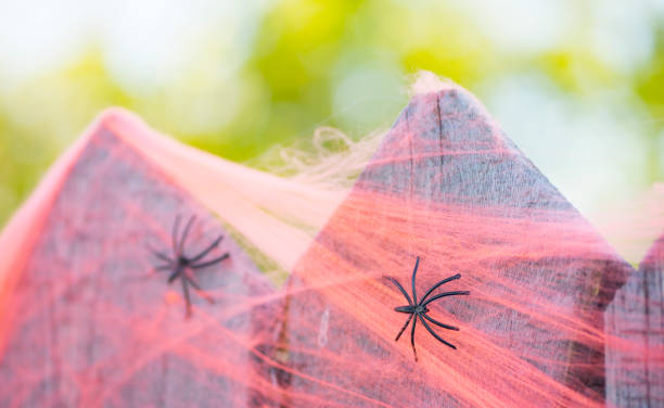 istock Wooden fence with cobwebs and spiders 1432800030