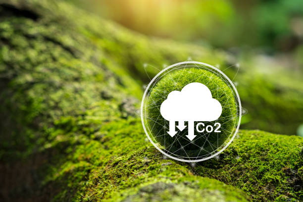 istock Ideas for Sustainable development and green business based on renewable energy. Energy saving, Sustainable development. Reduce CO2 emission concept. 1432800212