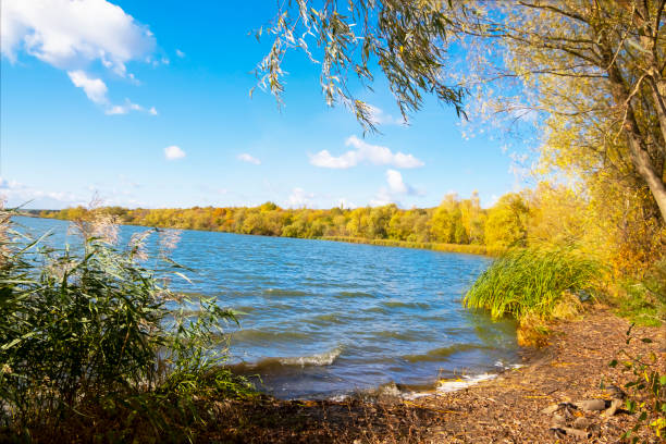 kuvapankkikuvat ja rojaltivapaat kuvat aiheesta luonnonkauniit, syksyiset maisemapuut ja metsäjärvi, luontonäkymä syksyn tausta. - lokakuu suomi
