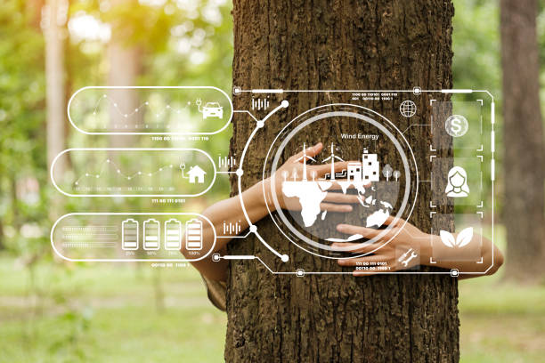 Human hand touching tree in rainforest, Love nature concept. Development into business for environment from renewable energy Reduce fuel consumption, reduce greenhouse effect, plant trees. mano humana tocando árbol en selva tropical, concepto de naturaleza amorosa. desarrollo en negocios para el medio ambiente a partir de energías renovables reducir el consumo de combustible, reducir el efecto invernadero, plantar árboles.