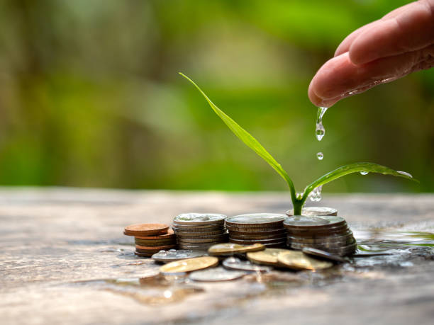Hands are watering plants on top of coins stacked on blurred backgrounds and natural. stock photo