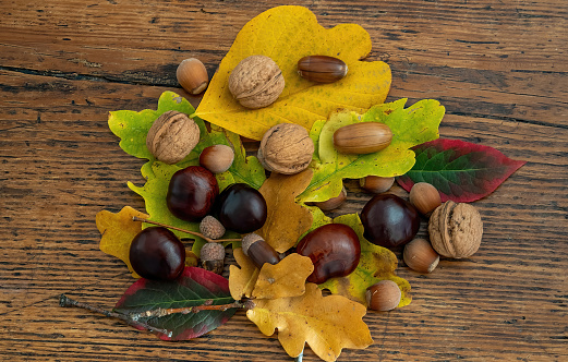 Autumn fruits on an old table