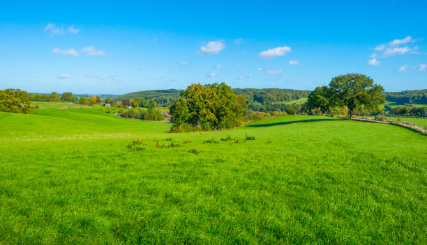 istock Fields and trees in a green hilly grassy landscape under a blue sky in sunlight in autumn 1432807066