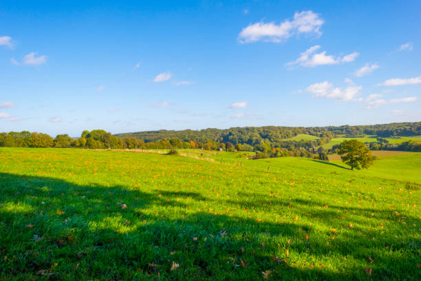 istock Fields and trees in a green hilly grassy landscape under a blue sky in sunlight in autumn 1432807119