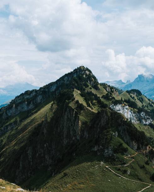 a vertical shot of mountain peaks covered with greenery