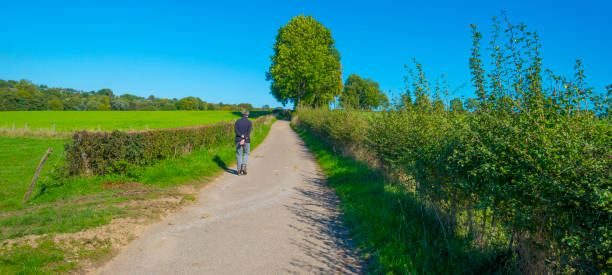istock Fields and trees in a green hilly grassy landscape under a blue sky in sunlight in autumn 1432808410