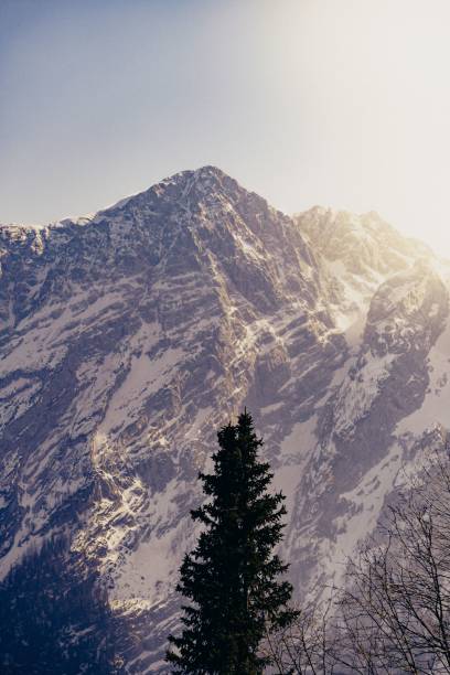 istock Vertical shot of the snowy mountain peaks 1432809062