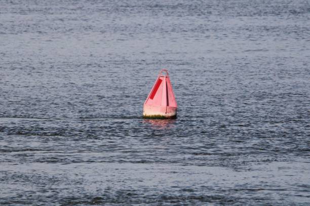istock Old red buoy in a water during daytime 1432809093