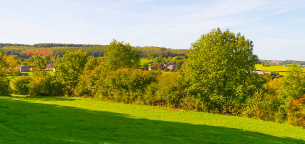istock Fields and trees in a green hilly grassy landscape under a blue sky in sunlight in autumn 1432810254