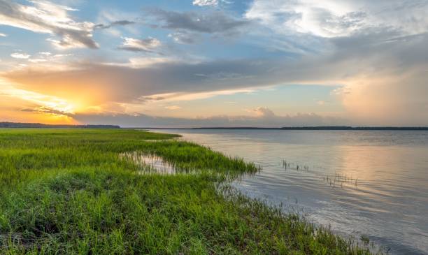 istock Beautiful shot of the sun setting behind clouds 1432810546