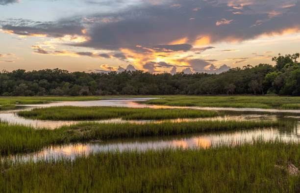 istock Beautiful shot of the sun setting behind clouds reflected in a river 1432810548