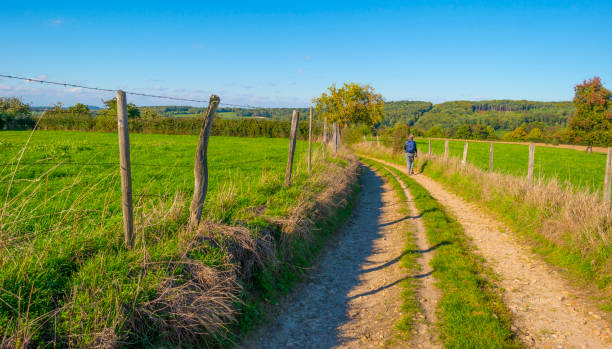 istock Fields and trees in a green hilly grassy landscape under a blue sky in sunlight in autumn 1432811778