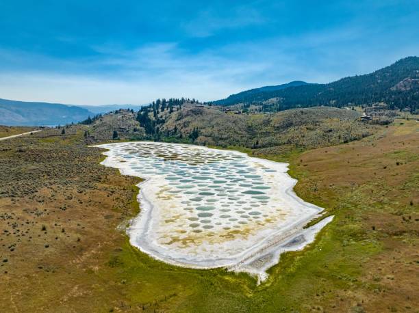 vista del lago spotted, lago salino e alcalino situato a osoyoos nella valle della columbia britannica, in canada - lake osoyoos foto e immagini stock