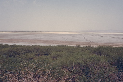 Sambhar Lake is India's largest inland salt lake and is spread over 90 Sq Kms.