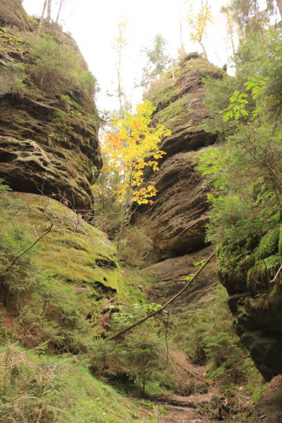 istock Autumn in Saxon Switzerland 1432814034