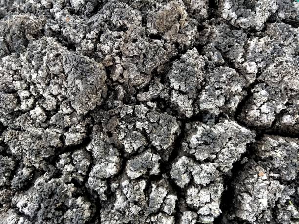 istock Top view of cracked ground texture 1432814308