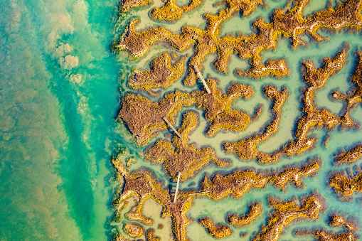 Aerial photo from a drone of a salt marsh in Tollesbury, Essex, UK. This particular marsh is located in the RSPB Old Hall Marshes in the Blackwater Estuary National Nature Reserve.