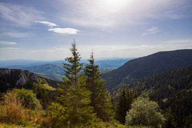 View at Kopaonik mountain in Serbia