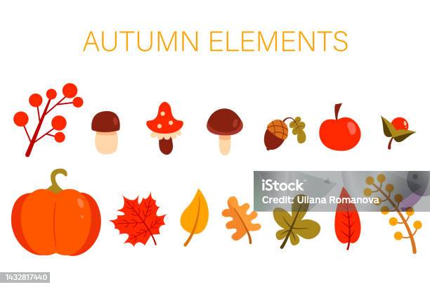Sammlung Von Herbstelementen Verschiedene Blätter Beeren Pilze Apfel Nüsse Kürbis Illustration Im Flachen Stil Isoliert Auf Weißem Hintergrund Stock Vektor Art und mehr Bilder von Ahorn