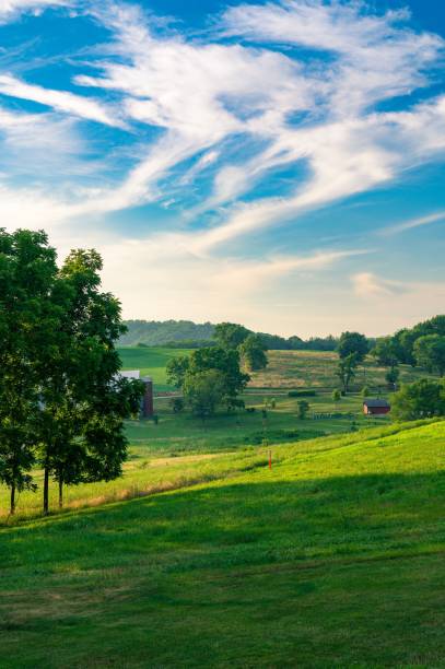 istock Beautiful rural landscape of green fields under a blue cloudy sky 1432819672