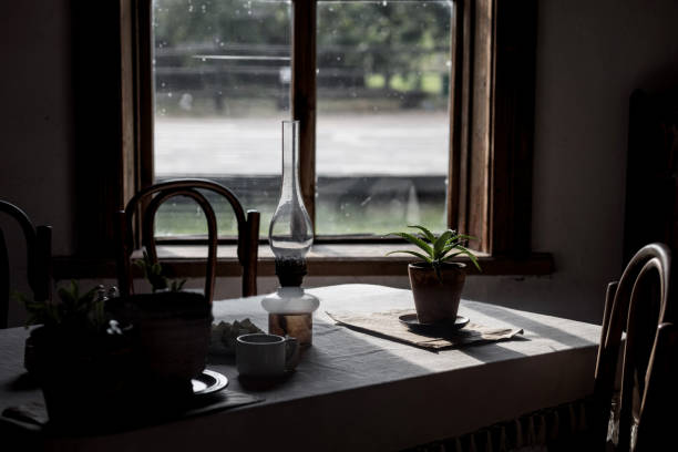 old oil lamp in a room with a plant and a window. vintage interior