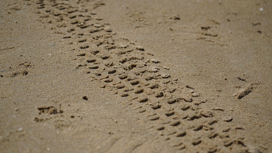 A closeup of tire marks on the sand