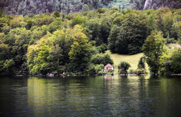 istock Lake Hallstatt in the Austrian alps 1432825102