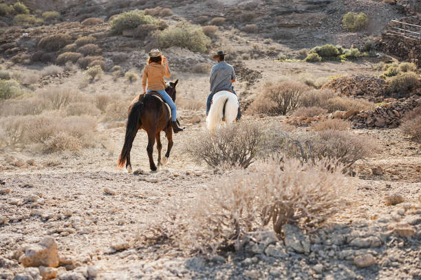 istock Young people riding horses doing excursion at sunset - Focus on woman back 1432826656