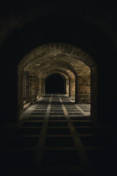 istock The La Seu in Mallorca 1432826707