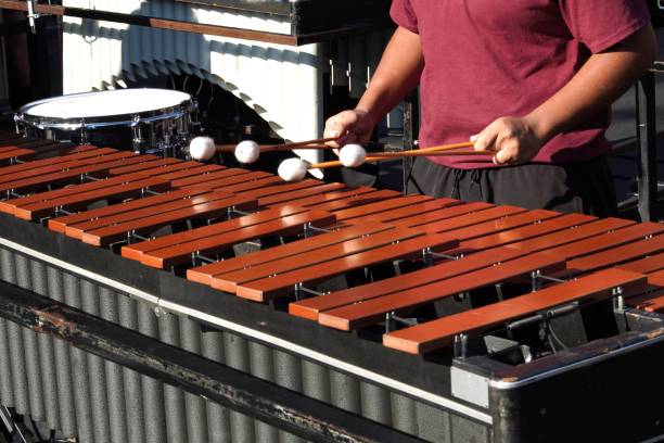 Hands of a musician playing a xylophone Closeup on the hands of a musician playing a xylophone marimba stock pictures, royalty-free photos & images