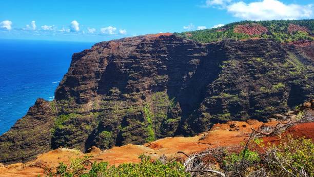 istock Rocky cliff with trees overlooking the blue ocean 1432826957