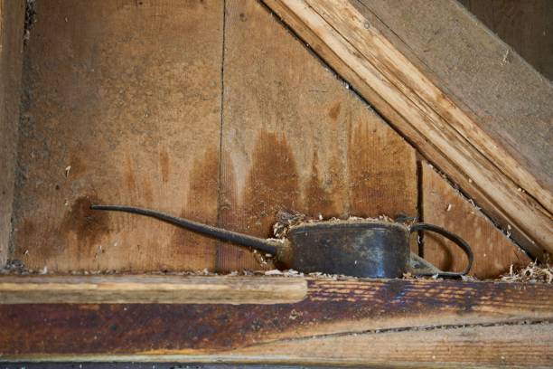 istock Oil vessel in an old sawmill 1432827229