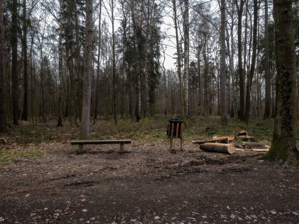 istock Wooden bench with logs and a trash can in the forest. 1432828858