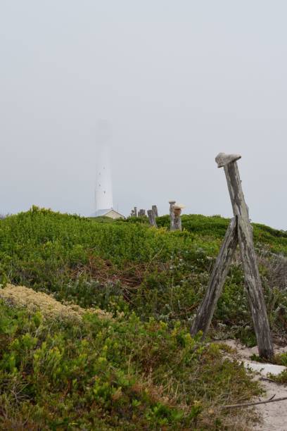 tiro vertical do farol de slangkop em um dia nublado na cidade do cabo, áfrica do sul - slangkop - fotografias e filmes do acervo