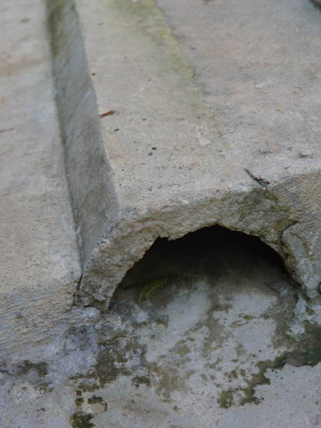 istock concrete for drainage systems that are already a bit mossy 1432831829