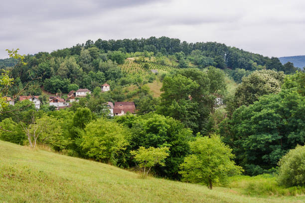 panoramaof tršić, serbia dove vuk stefanović karadžić è nato. - agriculture tree rural scene nature foto e immagini stock