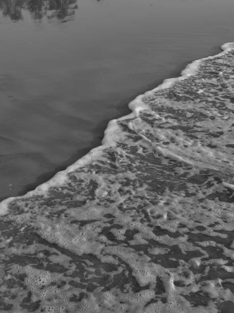 istock Vertical greyscale shot of the wet beach sand 1432832750