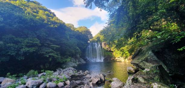 istock Panoramic view of a waterfall in the forest 1432832872